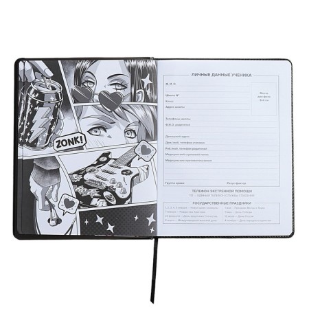 Universal Grade 1-11 Diary, 48 sheets "Girl 2", solid cover of artificial leather, lies, universal cheat sheet, block 80 g/m2-3