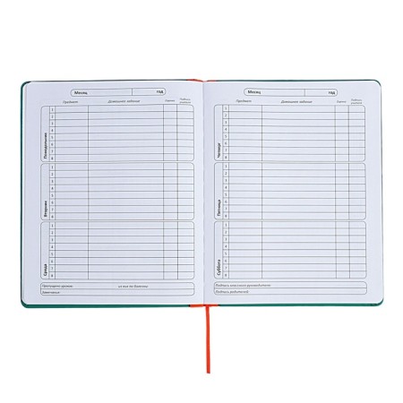 Universal diary for grades 1-11 Excellence, solid cover of artificial leather, silkography, lies, 48 ​​sheets, green-6