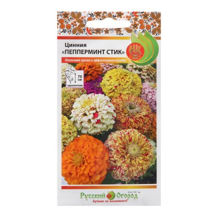 Cinnia flowers "Pepermint Style", 30 pcs-2
