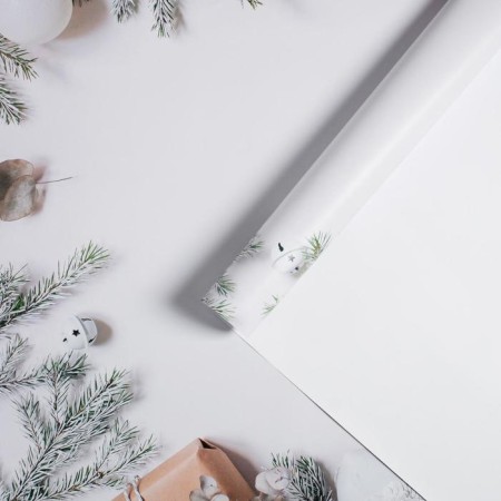 Photophone "spruce branches", 70 × 100 cm, paper, 130 g/m-1
