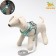 A set with a soft harness, fast-open, s, leash 150 x 1.5 cm, Osh 33-36 cm, OG 35-40 cm, turquoise