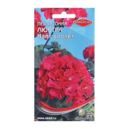 Flower seeds Pelargonium "Chara Knight Violet", 4 pcs