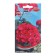 Flower seeds Pelargonium "Chara Knight Violet", 4 pcs