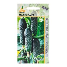 Cucumber seeds 