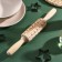 Skalk textured share, 30 × 4 cm, the working part is 11.5 cm, rotating, with curly handles