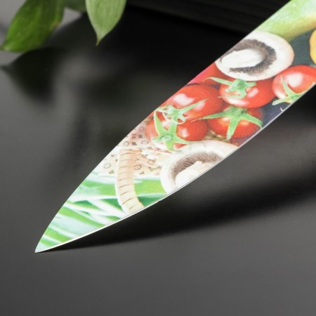 Kitchen knife with an anti -wagoning coating of the “crop” boss, blade 20 cm-1