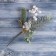 Decor "Winter Magic" needles leaves white berries, 24 cm