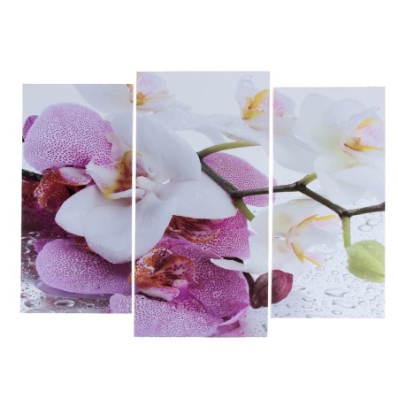 Modular painting "Crap orchid" (2-25x52; 1-30x60) 60x80 cm
