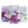 Modular painting "Crap orchid" (2-25x52; 1-30x60) 60x80 cm