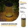 Lamp Garden Era on the Solar Battery "Ornament" LED, IP54, black