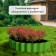 The flowerbed is galvanized "petal", d = 70 cm, h = 15 cm, bright green, Greengo