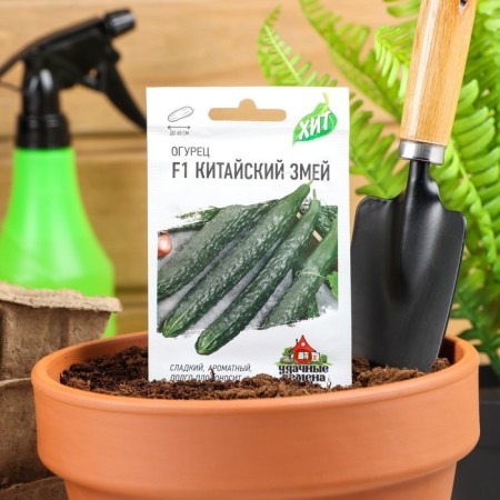 Seeds of the cucumber "Chinese snake", medium -late, bee -legged, 0.3 g Series Hit X3