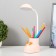 Table lamp "Boat Hare" LED 3 modes 3W USB Organizer Pink 8x11x31 cm Risalux