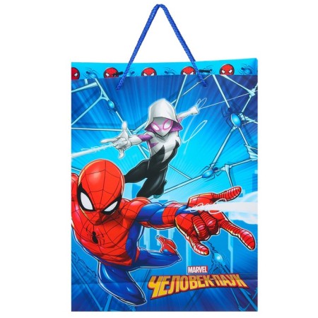 Gift package, 31x40x11 cm, packaging, spider-man-4