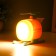 Night Party "Helicopter" LED 1.5W USB AKB MIX 12x8x10.5 cm Risalux