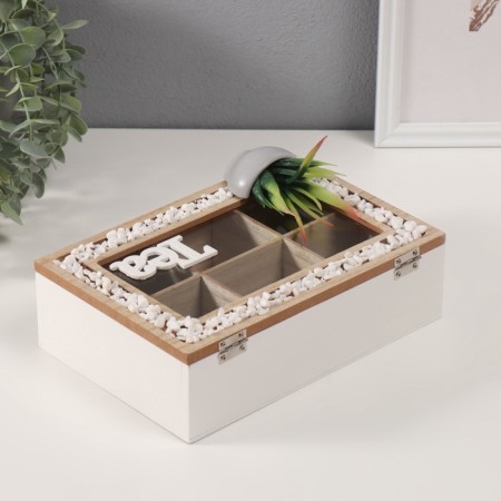 Casket tree with divisions "Tea. Cactus in a pot" 16x23.5x9.5 cm-3