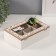 Casket tree with divisions "Tea. Cactus in a pot" 16x23.5x9.5 cm