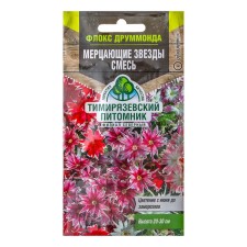 Flowers Flox 