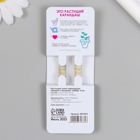 Growing gift pencils mini "Acacia and clove" set 2 pcs-1