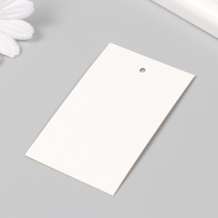 Tag without print Craft two -sided 8x5 cm-2