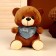 Soft toy "Mishutka in a scarf", Mix colors