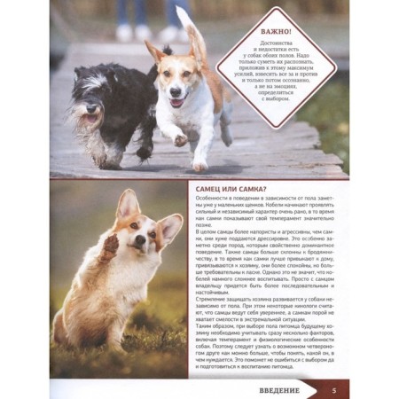 The best illustrated encyclopedia. Dogs-4