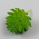 Artificial succulent for creating a florarium "Mogles" d = 4 cm
