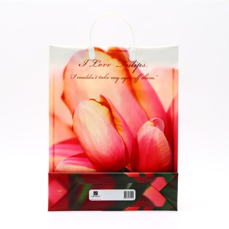 Package "Fiery Tulips", soft plastic, 42 x 32 cm-1