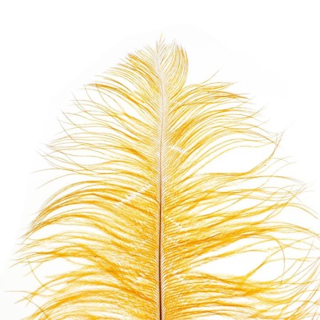 Feather for decor, length: from 45 to 50 cm, mustard color-1
