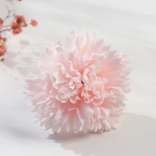 Soap petals 