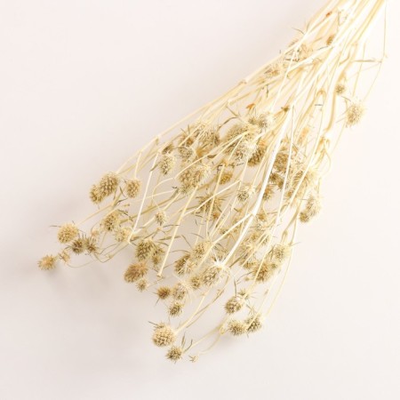 A set of dried flowers "Eringium", ban 5 pcs, length 50 (+/- 6 cm), bleached-2