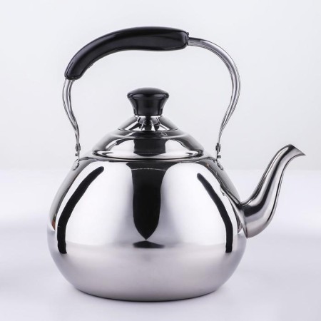 A teapot made of stainless steel Orchid, 4 l, silver color