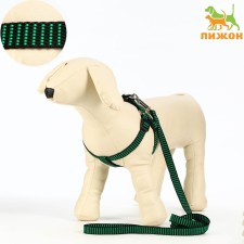 Acunition set is embossed, leash 120 x 1.5 cm, OG 36-49 cm, green-black