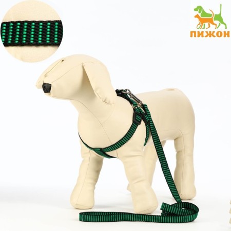 Acunition set is embossed, leash 120 x 1.5 cm, OG 36-49 cm, green-black