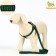 Acunition set is embossed, leash 120 x 1.5 cm, OG 36-49 cm, green-black