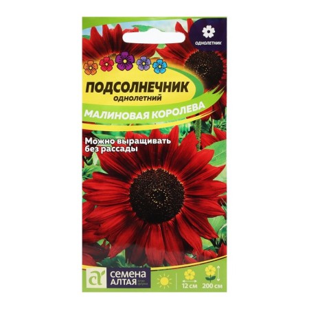 Flower seeds sunflower "Raspberry Queen", o, 0.5 g.