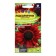 Flower seeds sunflower "Raspberry Queen", o, 0.5 g.