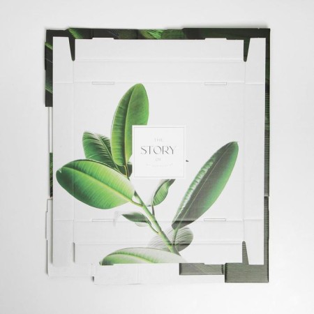 Gift folding box, packaging, “leaves”, 31.2 x 25.6 x 16.1 cm-5