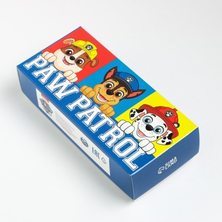 Набор детских носков 5 пар "Boy", PAW PATROL, 14-16 см-5