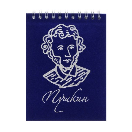 Notepad A6, 90 sheets, on the crest in a cage, blue, cover of flocked cardboard, foil embossing, an offset block 70g/m2