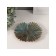 Souvenir Ceramics stand "Sheet half -sun" Green gloss 13x14.5x1.5 cm