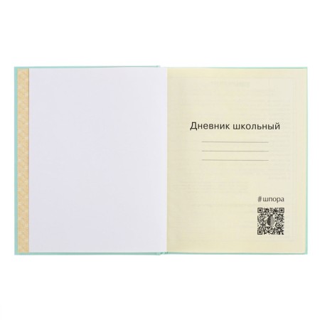 Diary for grades 1-4, solid cover "Girls", matte lamination, selective varnish, block 60 g/m2-4
