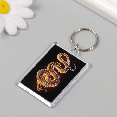 Acryl keychain "Snake. Linius" 3.5x5 cm-2