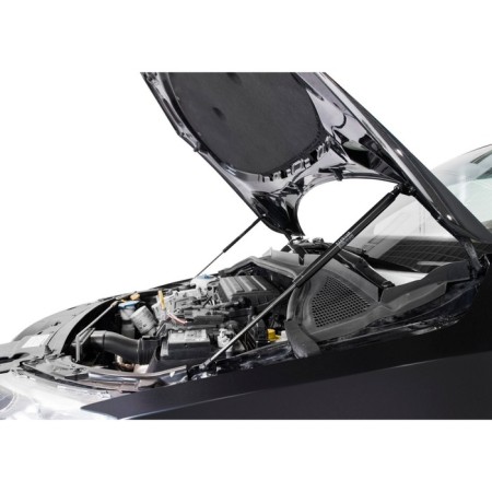 Copes of the hood Auto unorusor for Skoda Rapid I 2012-2017 2017-n., 2 pcs., USKRAP012-2