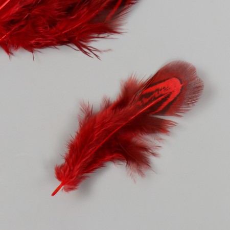 Decorative pheasant feather "Rice. Red" set 20 pcs h = 5-7 cm-2