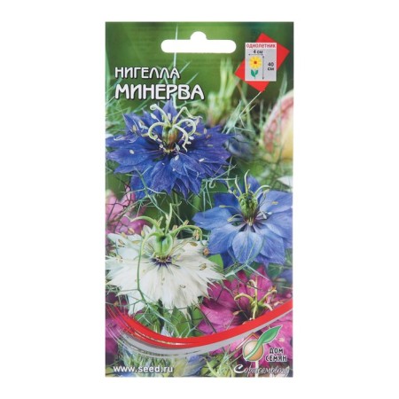 Flower seeds nigel "Minerva", 70 pcs