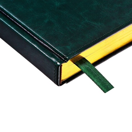 Dated diary of 2025, A5, 168 sheets in the ruler, leatherette "Nebraska", gold cut, green-4