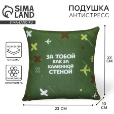 Antistress pillow 