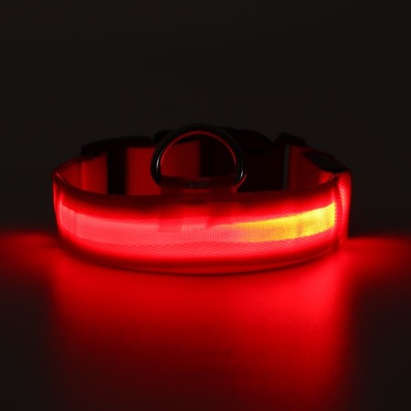 Collar with backlight size S, Osh 35-43 x 2.5 cm, 3 glow modes red-10