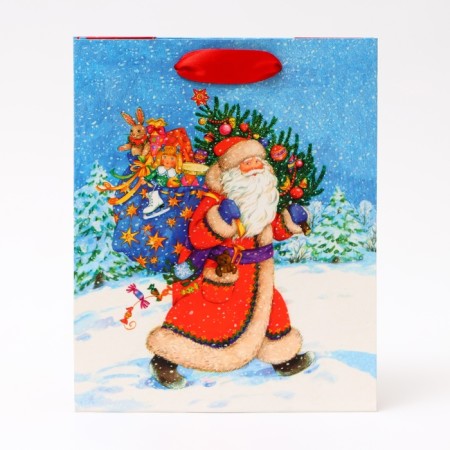 Gift package "Santa Claus is in a hurry to visit", 18 x 22.3 x 10 cm-1